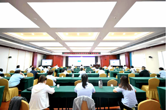 冰球突破-冰球电游豪华版_MG冰球游戏