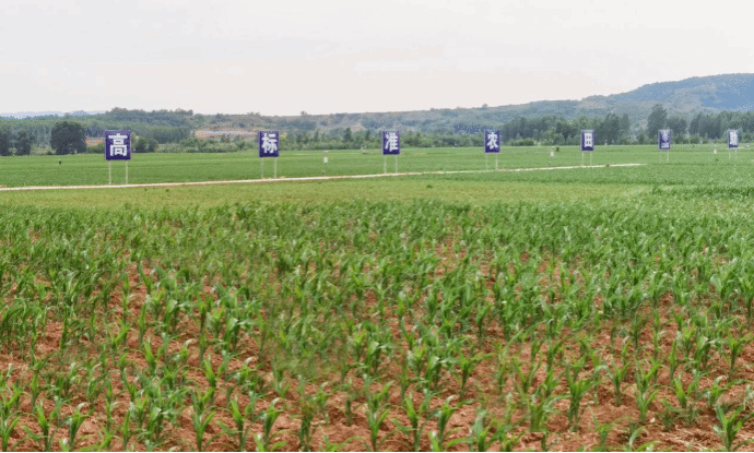 山西建投三建集团匠心冰球突破高标准农田