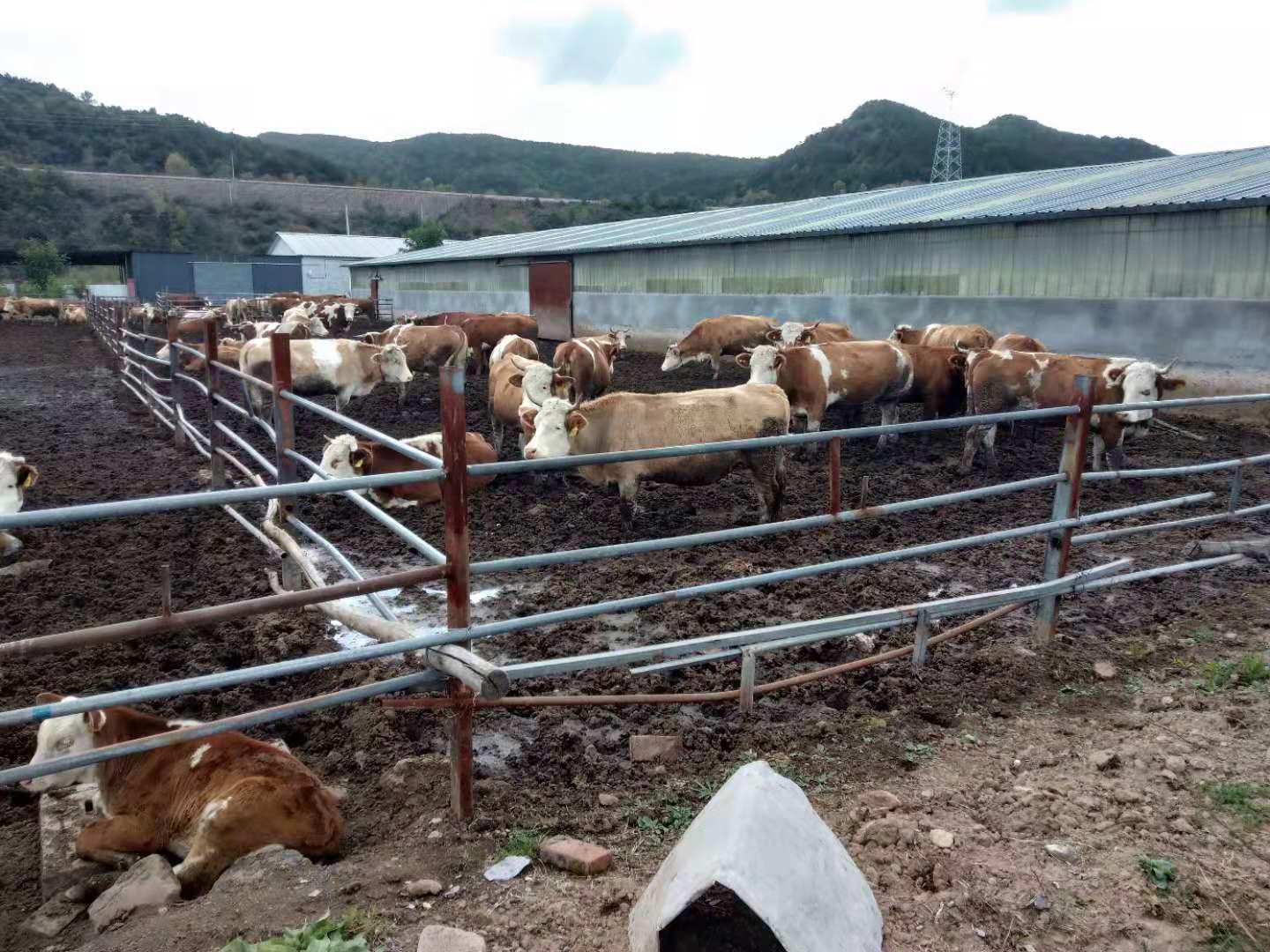 冰球突破-冰球电游豪华版_MG冰球游戏