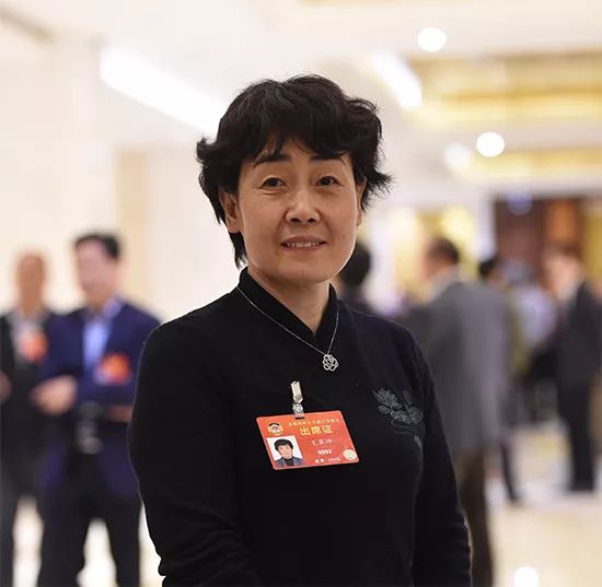 [分享]2019两会：借助BIM技术，，，，，助力数字中国冰球突破